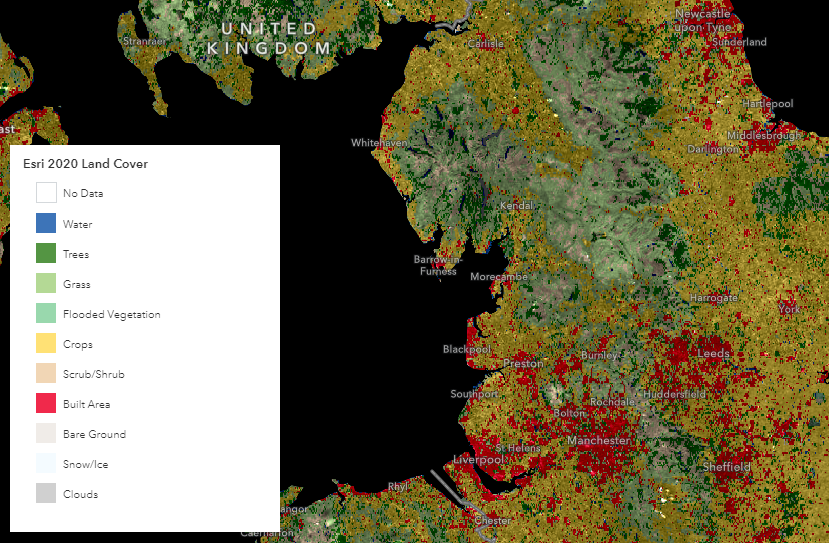 Esri’s 10-metre resolution map of the Earth’s land surface from 2020.