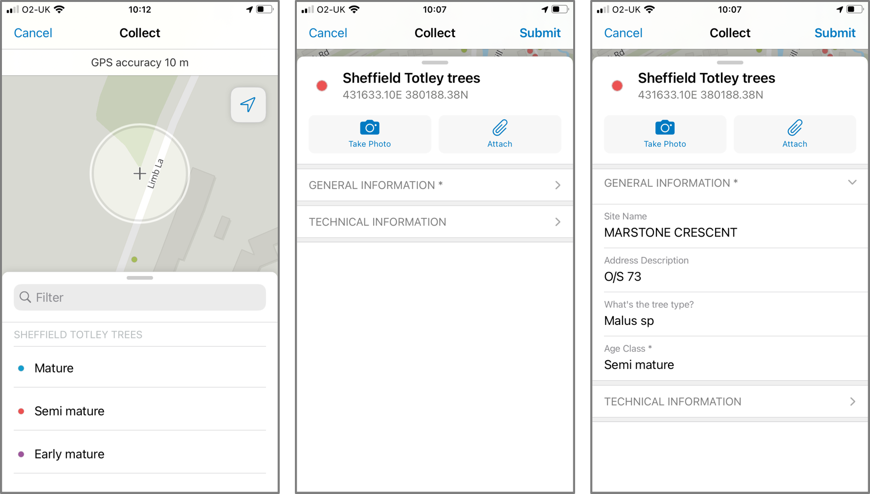 Create features using Field Maps