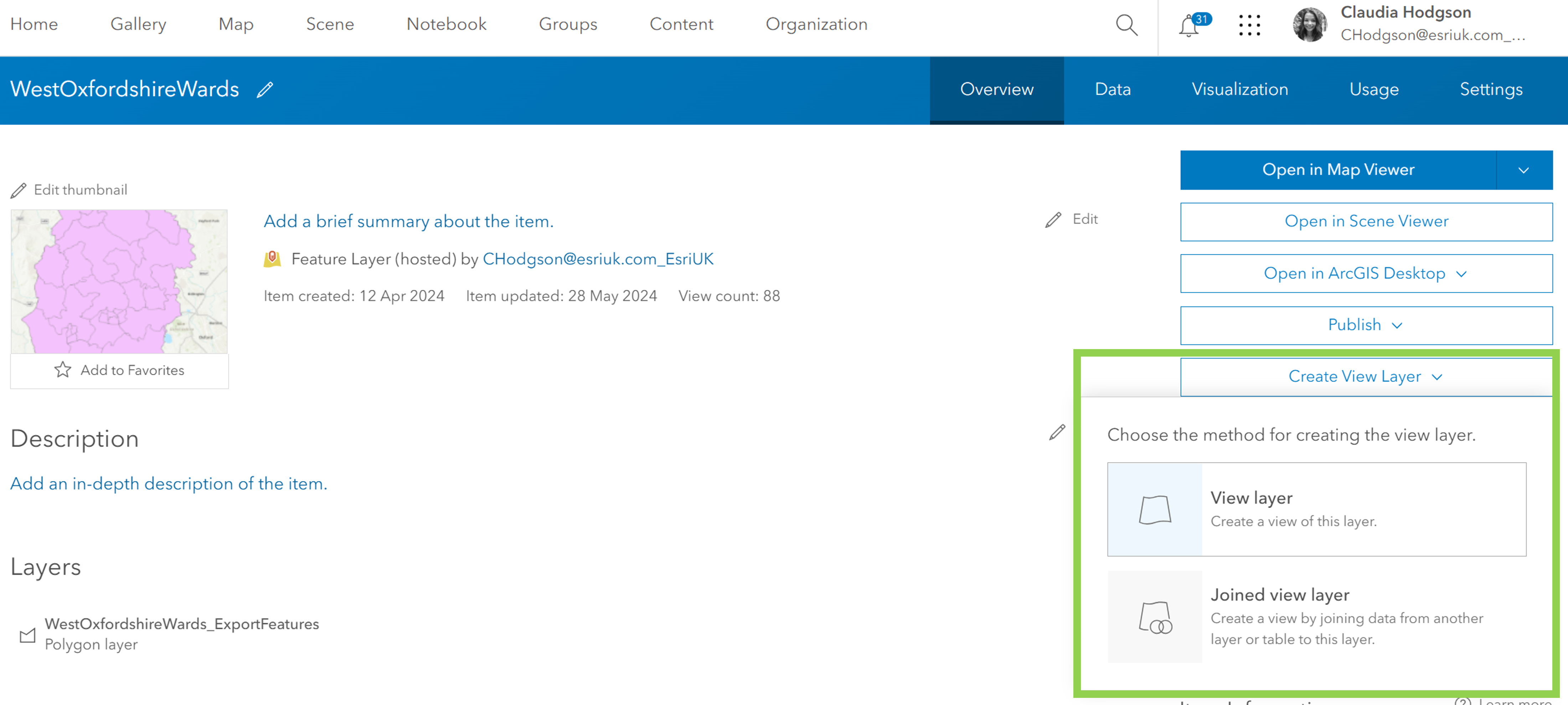 Feature Layer View in ArcGIS Online