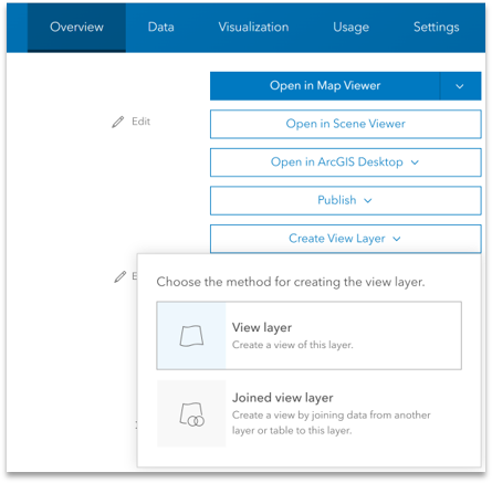 Interface for creating a hosted feature layer view in ArcGIS Online.