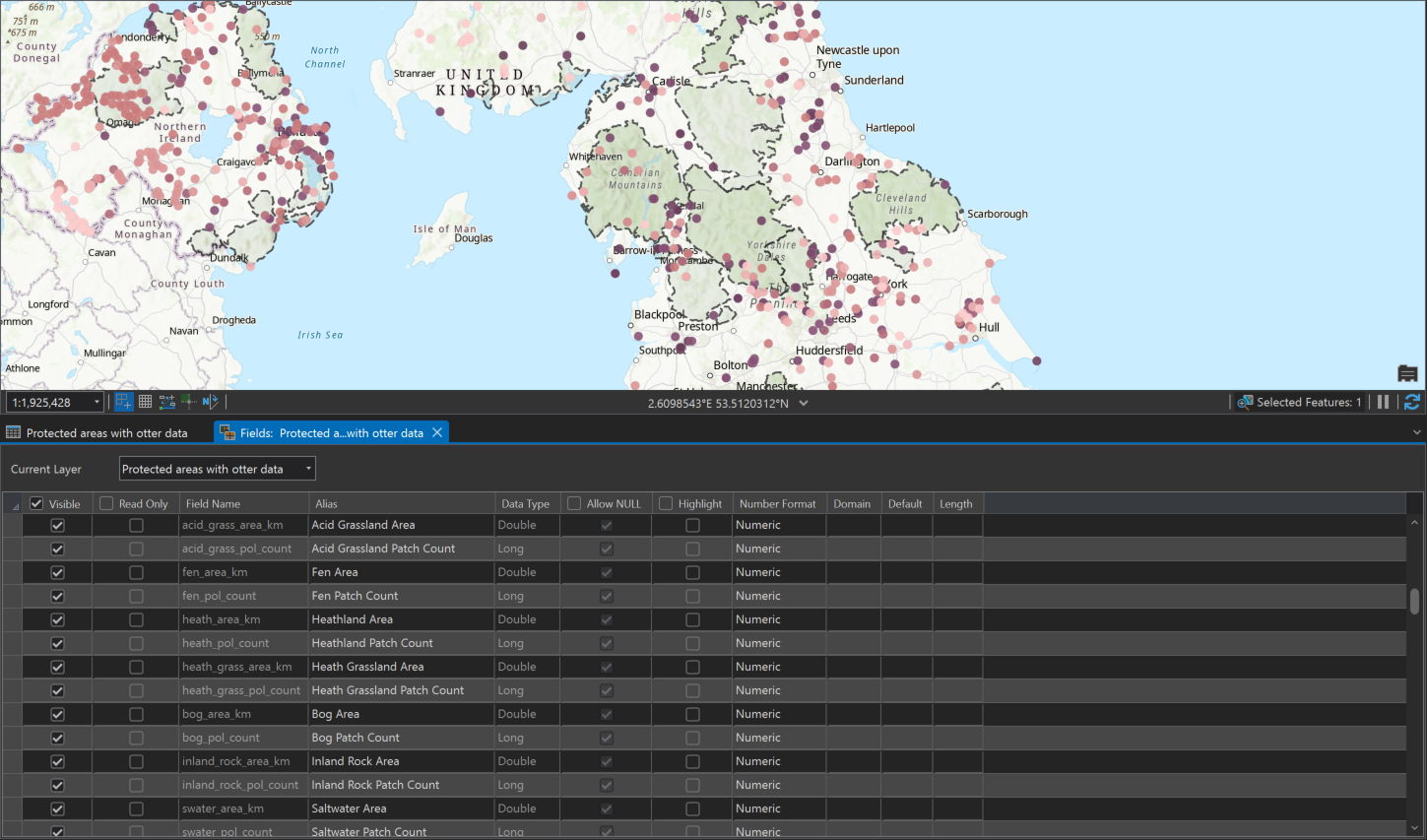 Screenshot of the data processing in ArcGIS Pro 