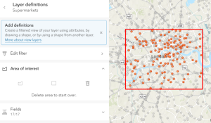 Tips for creating hosted feature layer views - Resource Centre | Esri UK