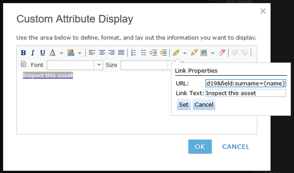  Custom Attribute Display within Web Map on ArcGIS Online 