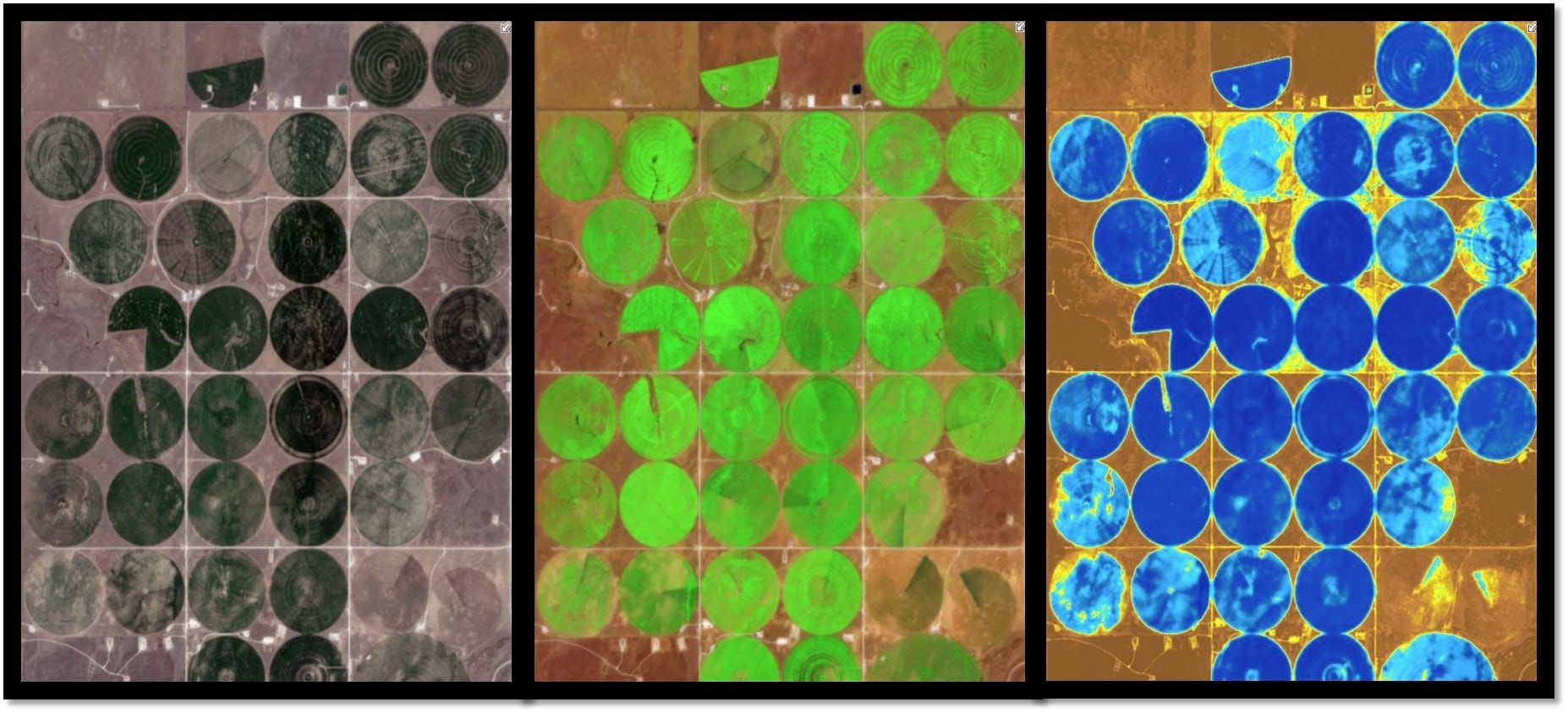  agricultural fields in various sentinel-2 band combinations. Left: Natural colour (displays the optical wavelengths our eyes naturall detect). middle: short wave infrared vegetation (showing the most vigorous vegtation in bright green). right: Water Mositure index (showing the highest moisture levels in blue). 